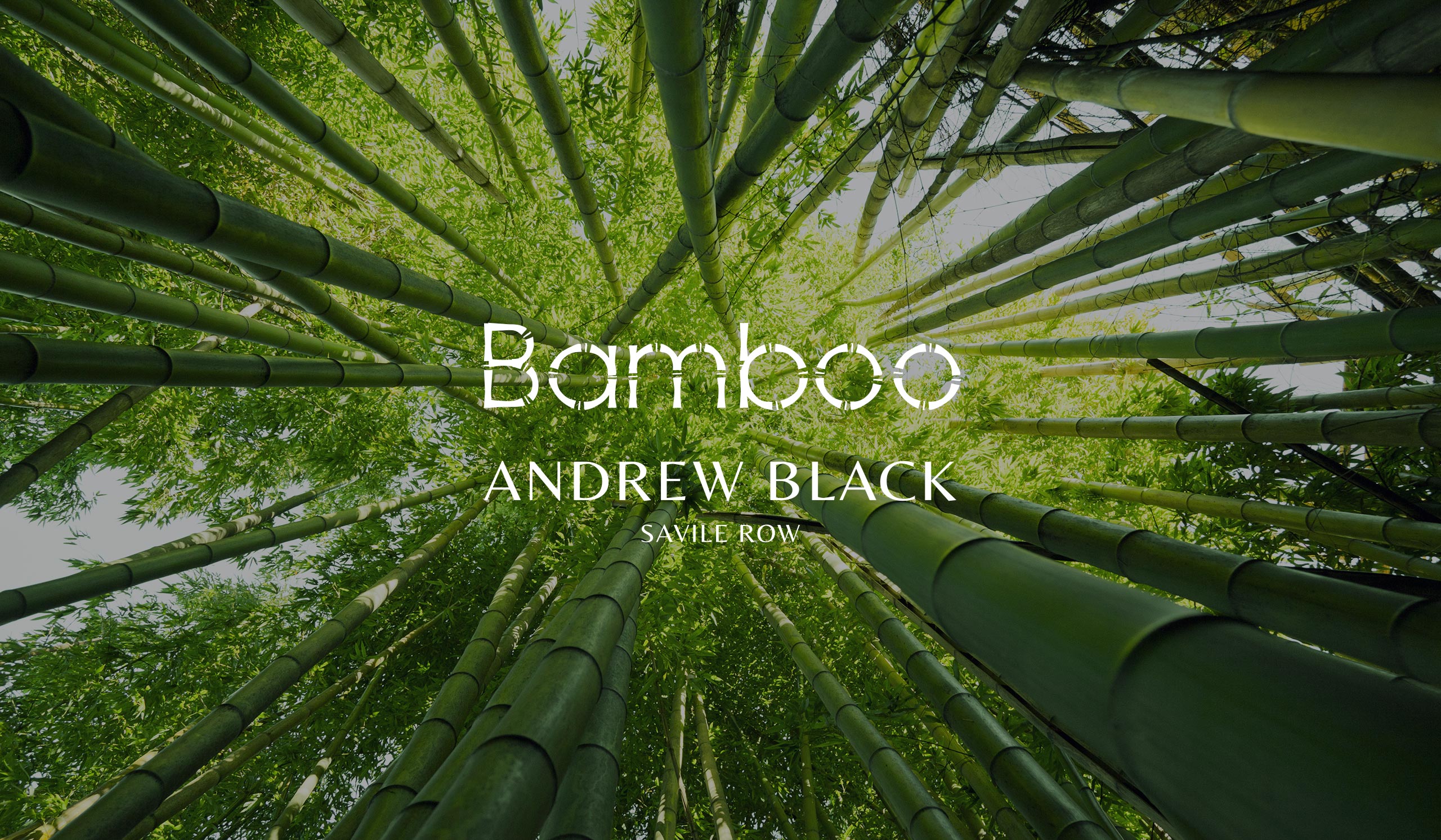 Andrew Black Savile Row Tailor Bamboo